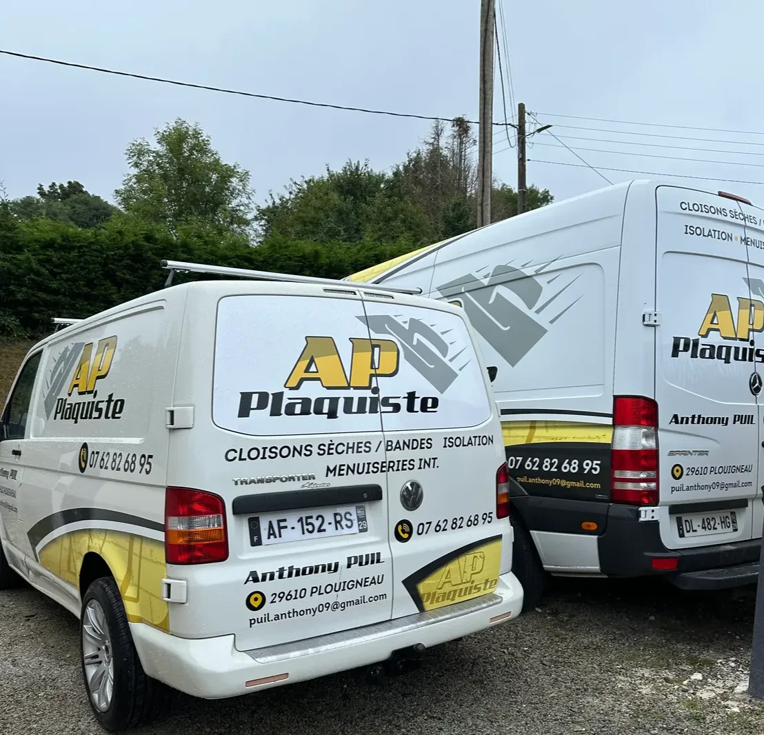 plaquiste sainte seve