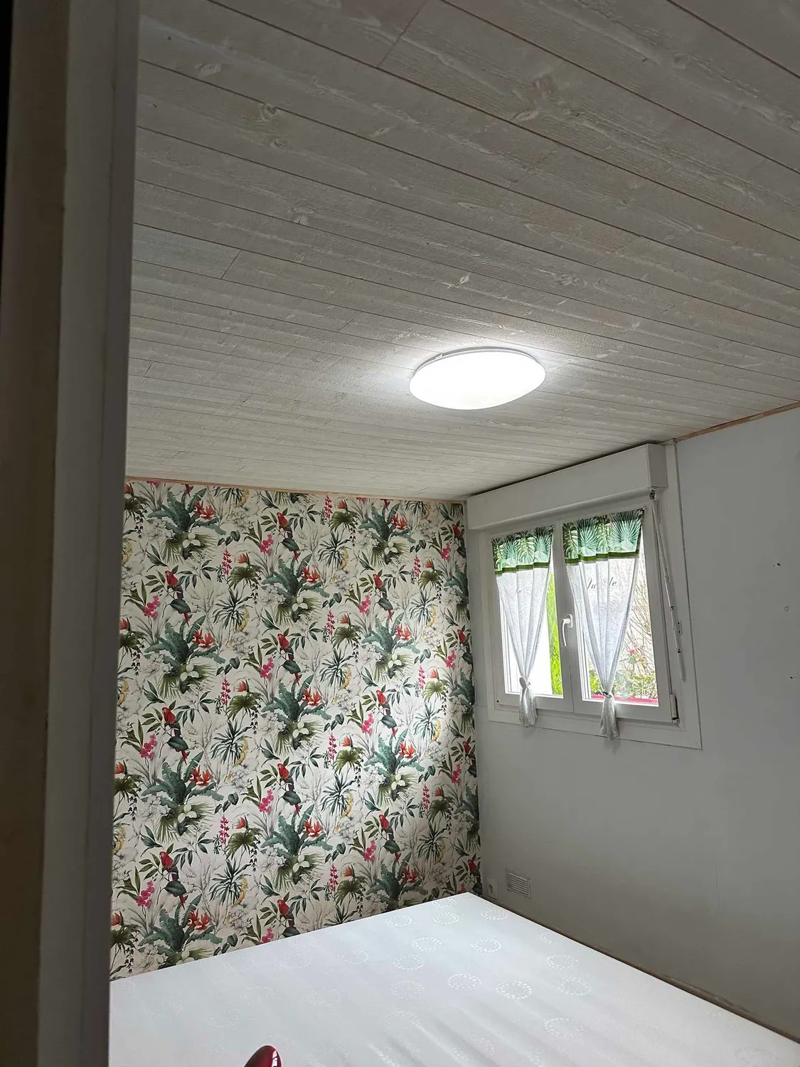 platrier sainte seve